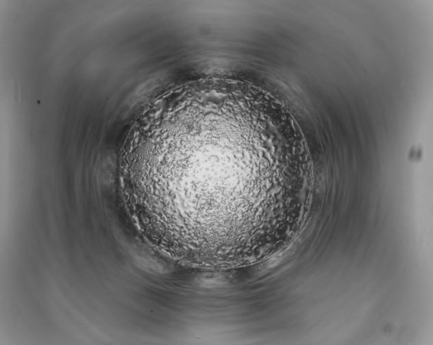 X0000091090175200708131327