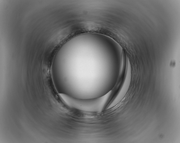 X0000091090176200708131327