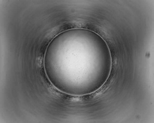 X0000091090177200708131327