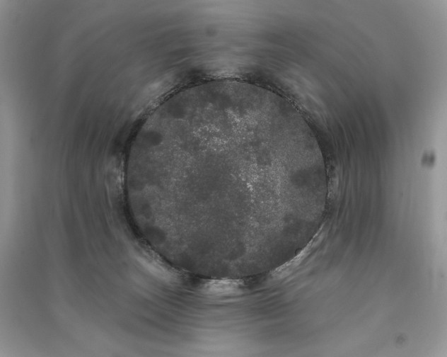 X0000091090179200708131327