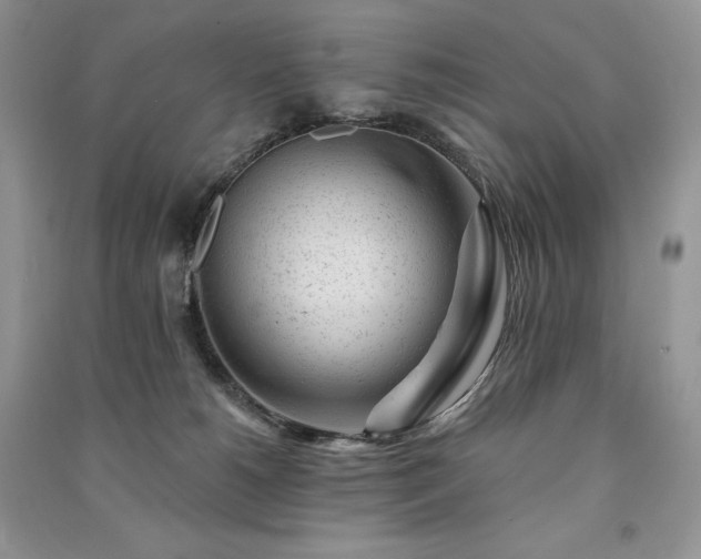 X0000091090180200708131327