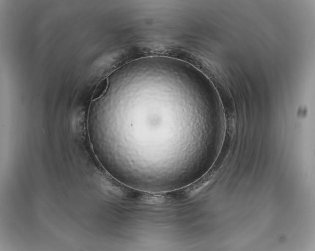 X0000091090181200708131327