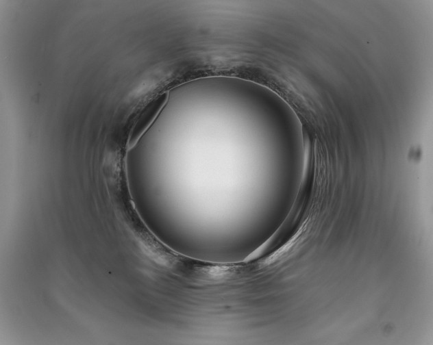 X0000091090184200708131327