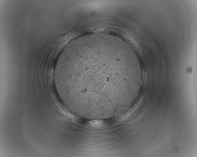 X0000091090189200708131327