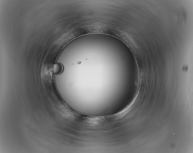 X0000091090190200708131327