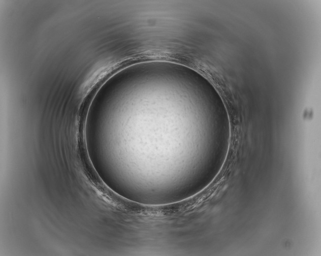X0000091090194200708131327