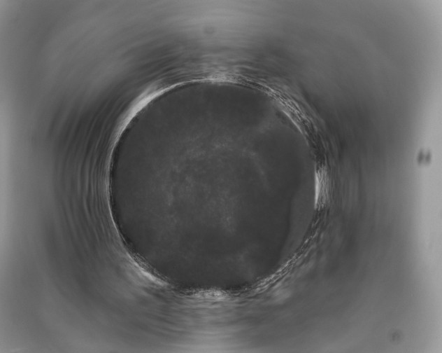X0000091090195200708131327
