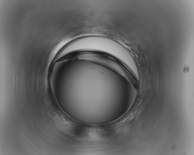 X0000091090200200708131327