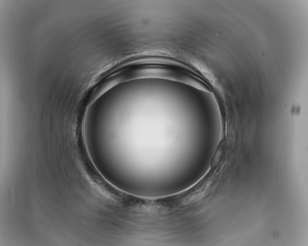 X0000091090201200708131327