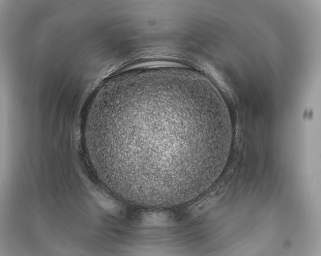 X0000091090202200708131327