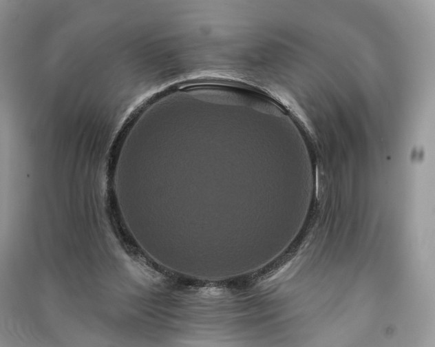 X0000091090204200708131326