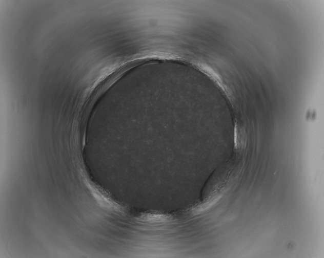 X0000091090205200708131326