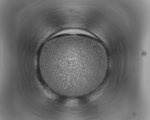 X0000091090206200708131326