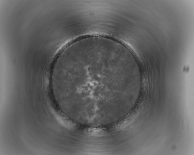 X0000091090208200708131326