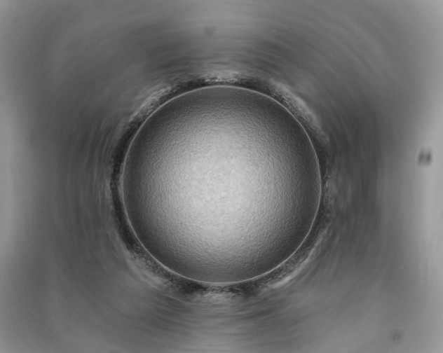 X0000091090209200708131326