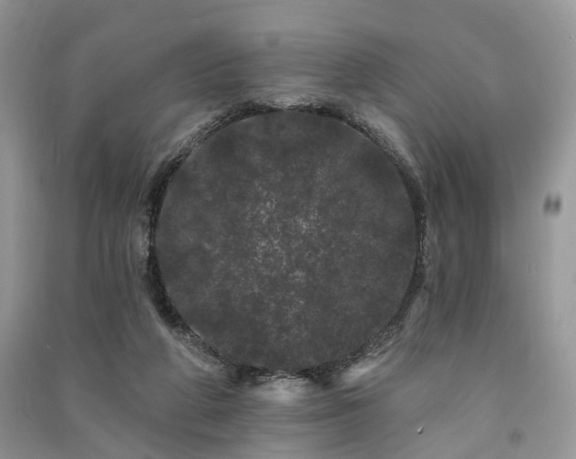 X0000091090210200708131326
