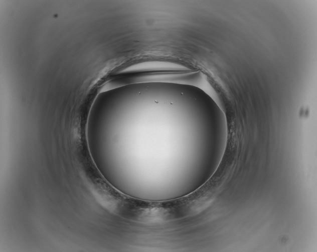 X0000091090212200708131326