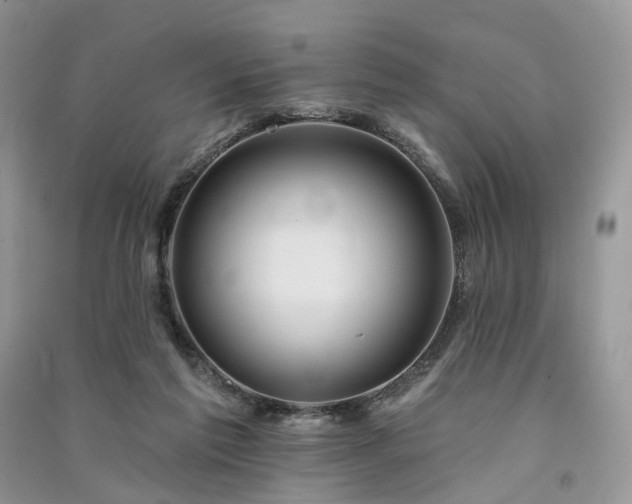 X0000091090213200708131326