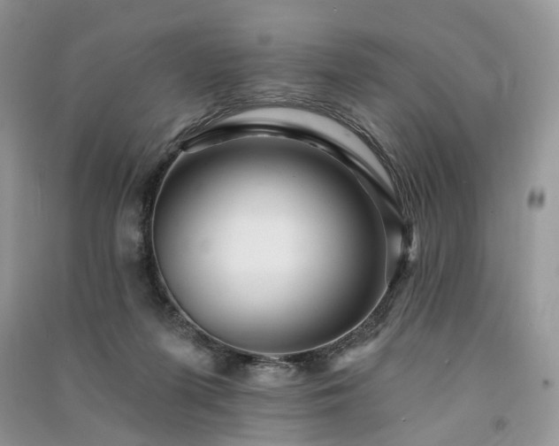 X0000091090215200708131326