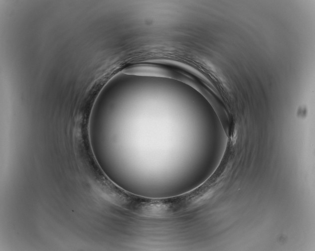 X0000091090217200708131326