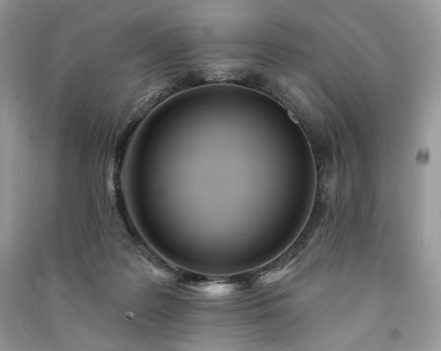 X0000091090219200708131326