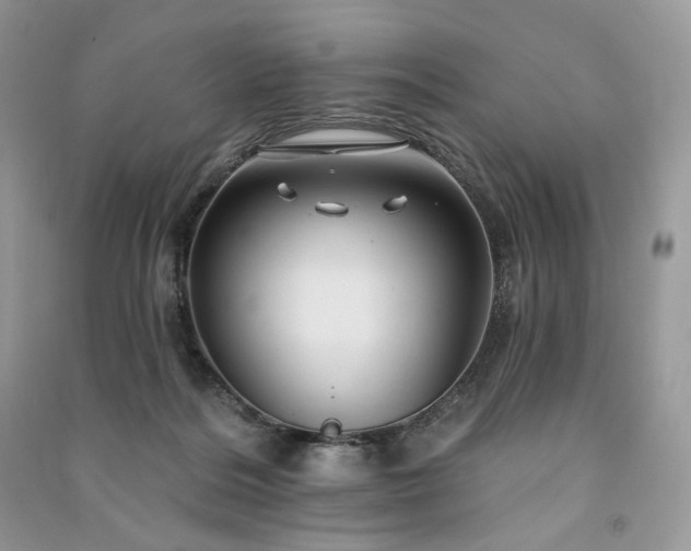 X0000091090220200708131326