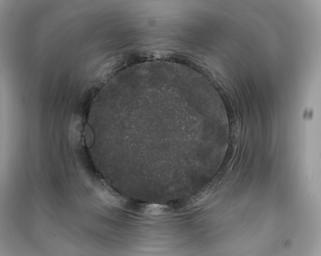 X0000091090222200708131326