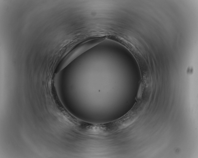 X0000091090223200708131326