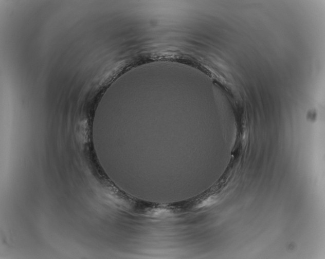 X0000091090224200708131326