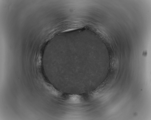 X0000091090226200708131326