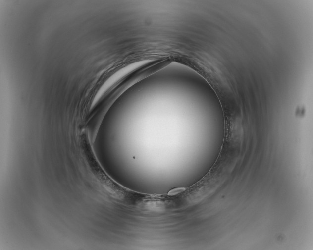 X0000091090228200708131326