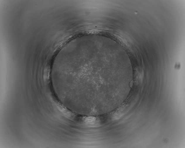 X0000091090230200708131326
