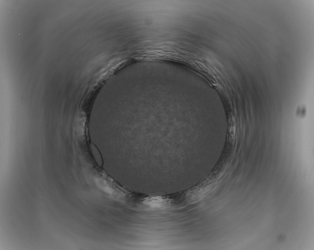 X0000091090231200708131326
