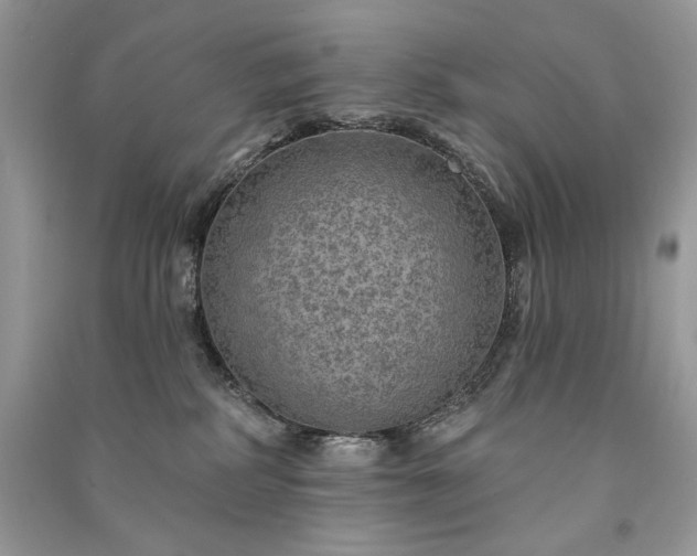 X0000091090234200708131326