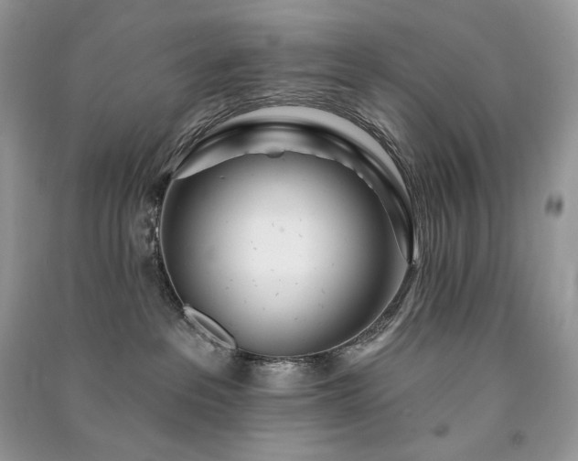 X0000091090237200708131326