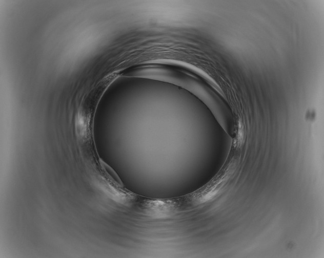 X0000091090239200708131326