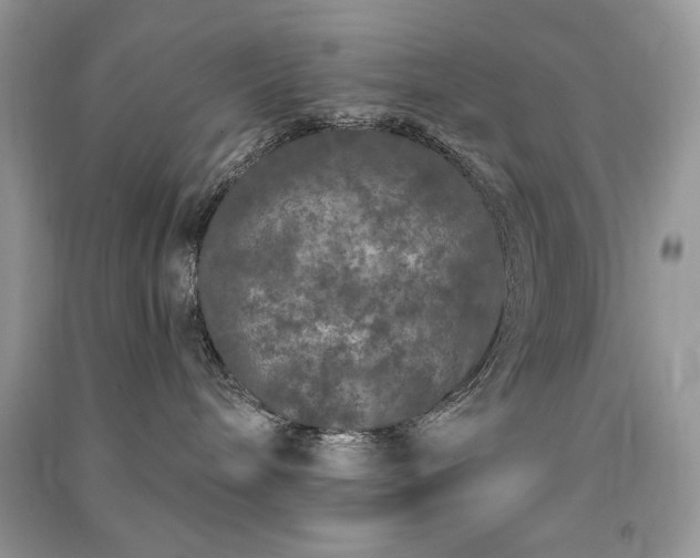 X0000091090240200708131326