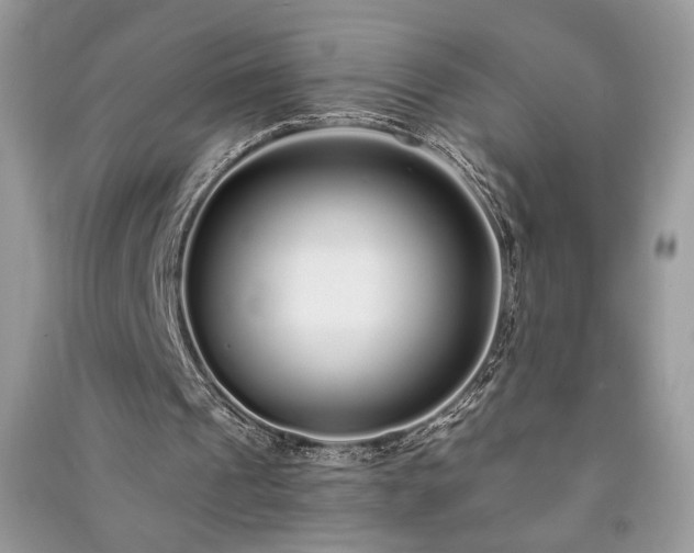 X0000091090241200708131325