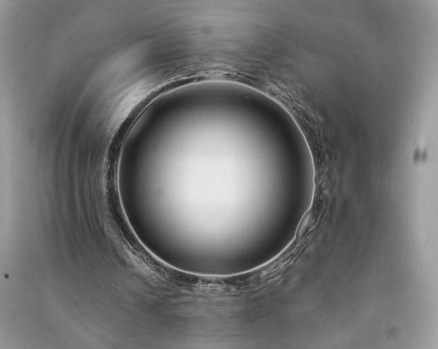X0000091090242200708131325