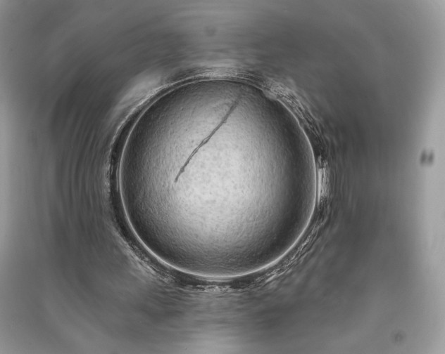 X0000091090243200708131325