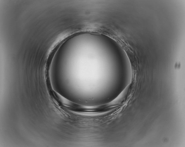 X0000091090244200708131325