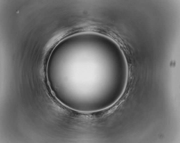 X0000091090245200708131325