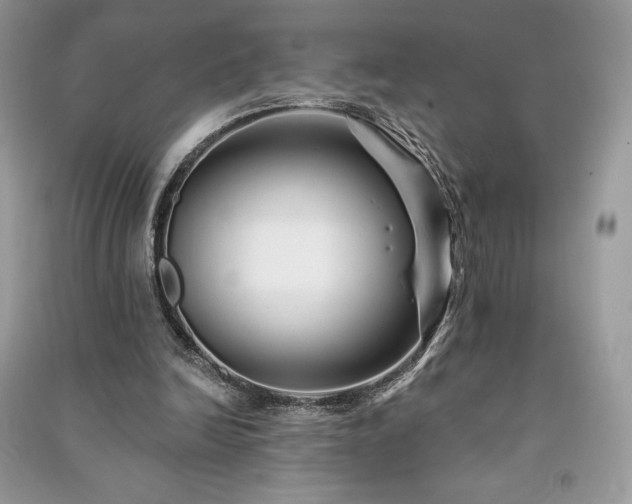 X0000091090246200708131325
