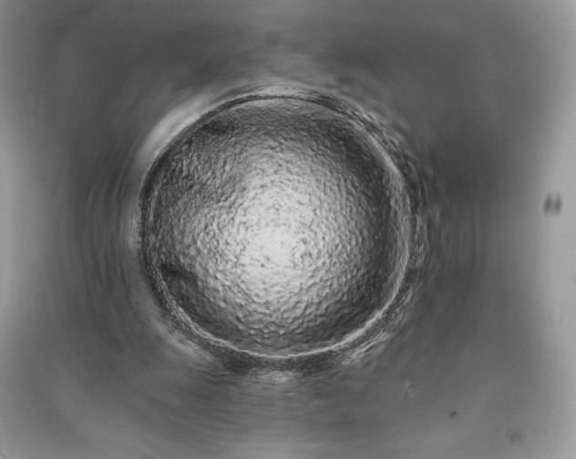 X0000091090247200708131325