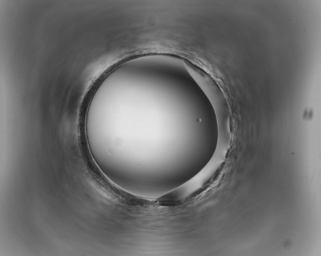 X0000091090248200708131325