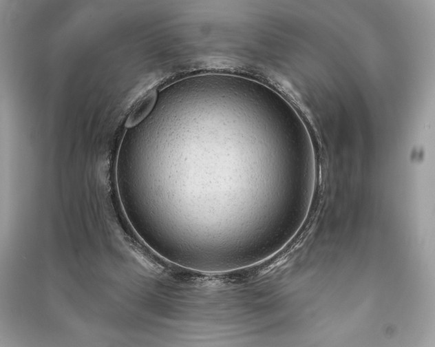 X0000091090249200708131325