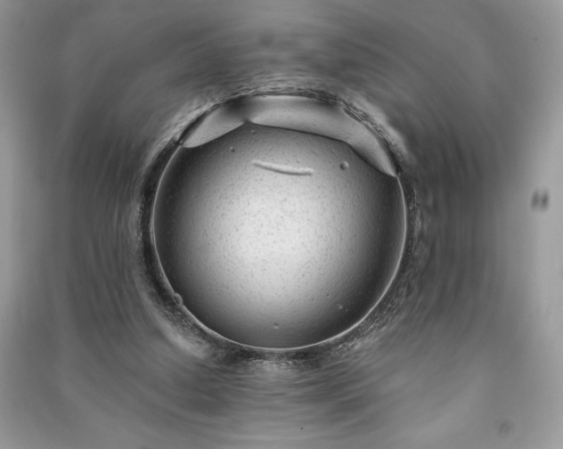 X0000091090250200708131325