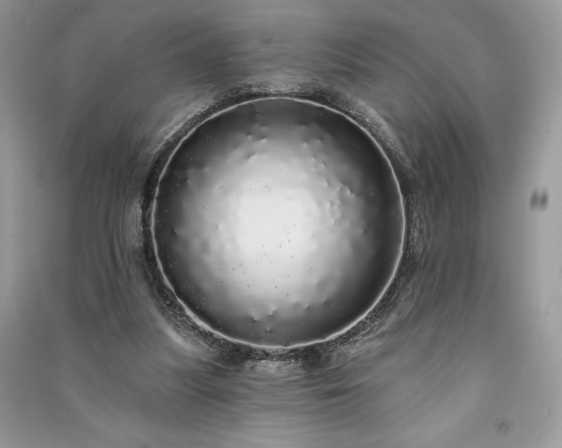 X0000091090251200708131325
