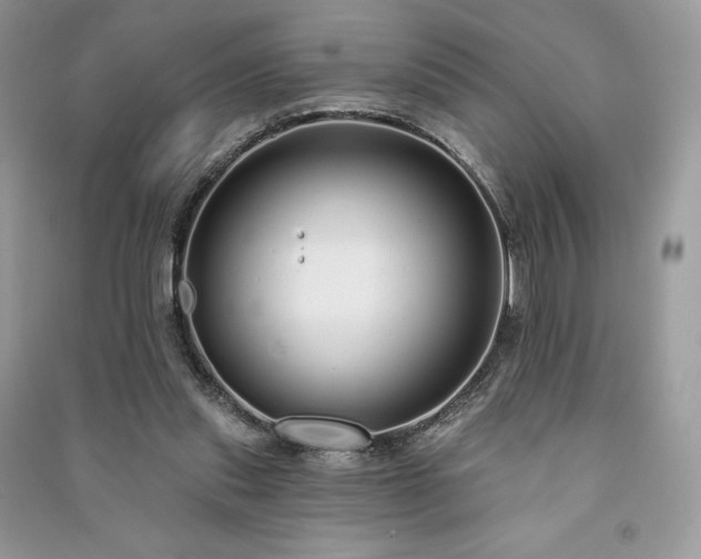 X0000091090253200708131325