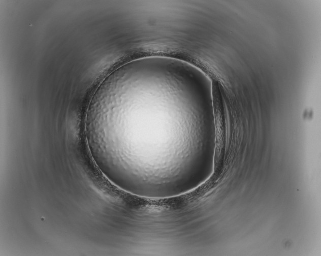 X0000091090255200708131326